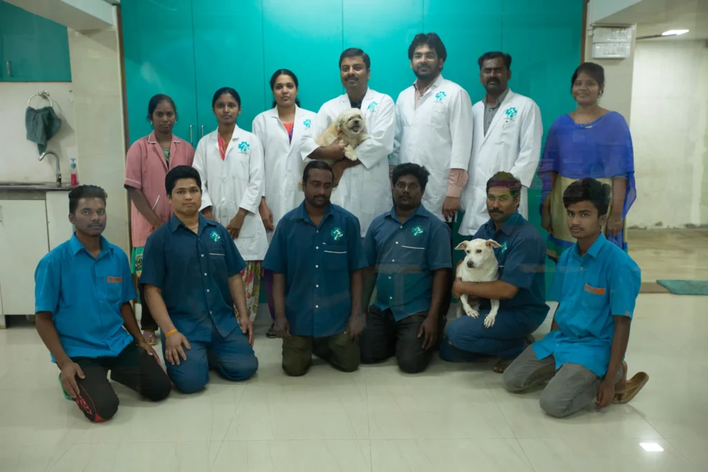 Modern veterinary clinic interior