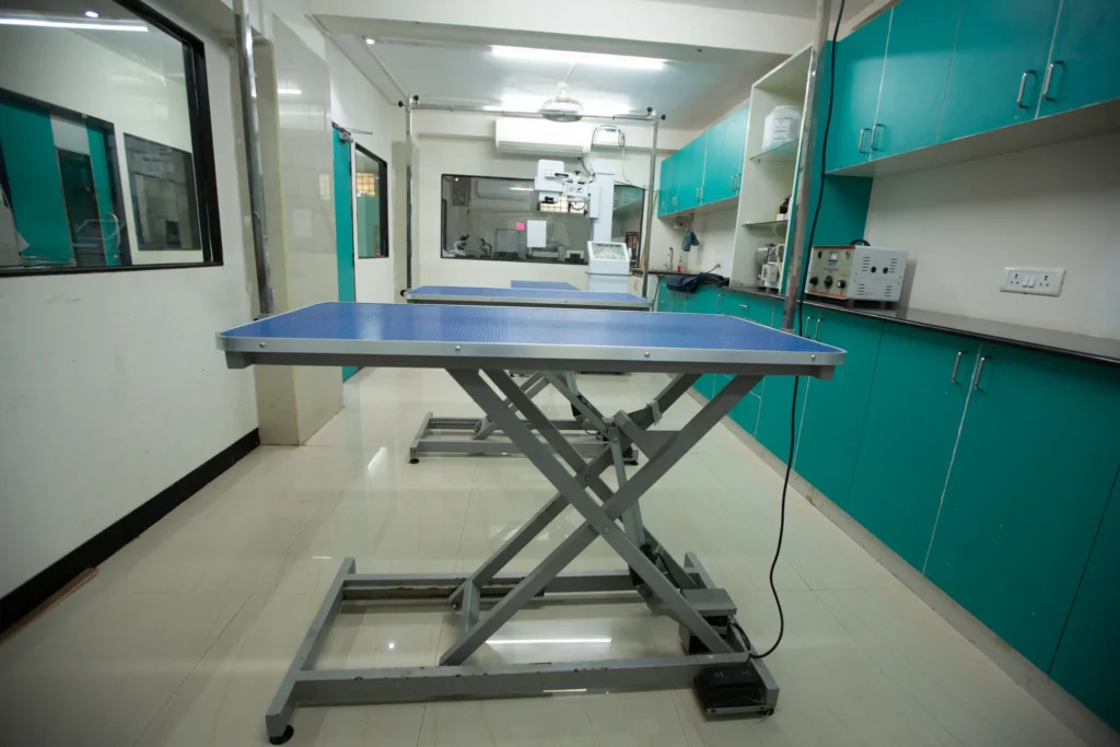 SKS veterinary care