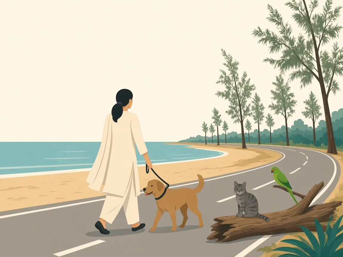 Illustration of pets on the East Coast Road shoreline at Akkarai