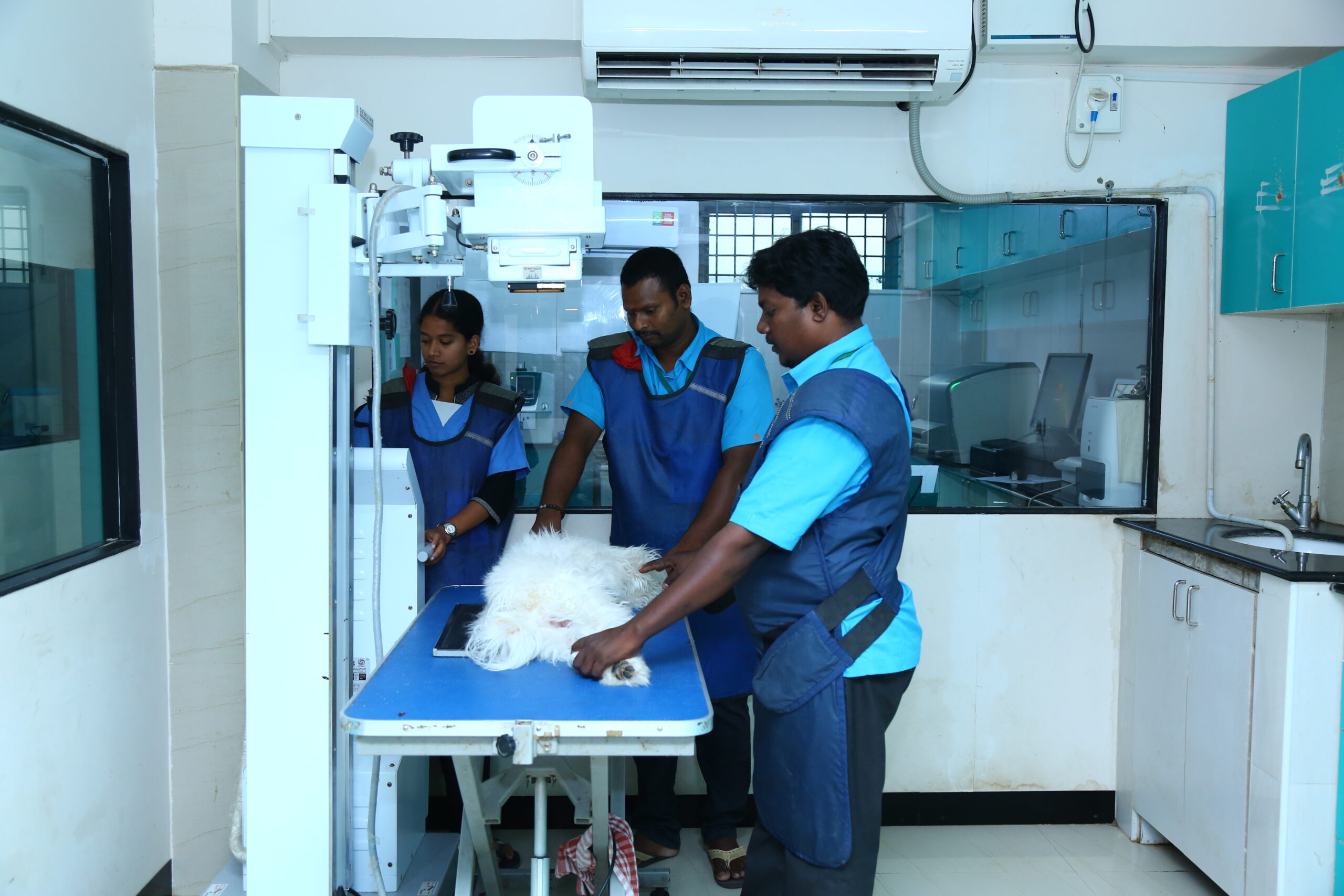 Diagnostic Imaging