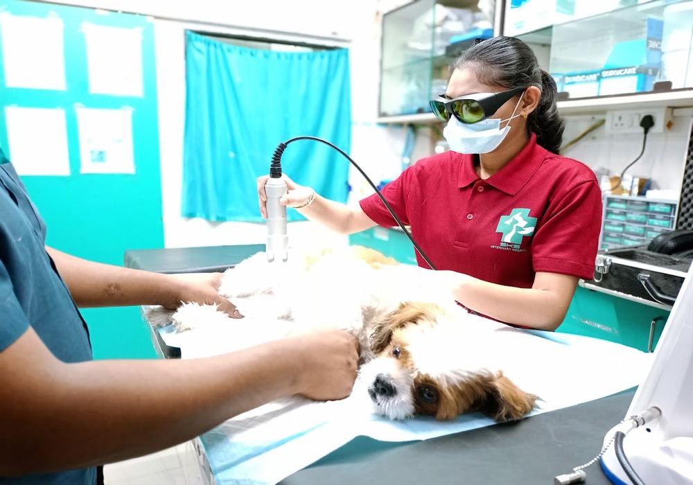 SKS Veterinary Hospital