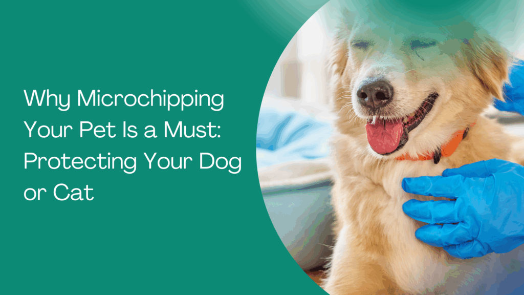 microchipping for pets blog