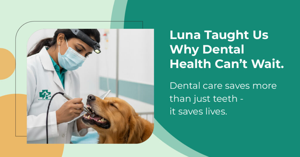 Luna Taught us why dental health can't wait