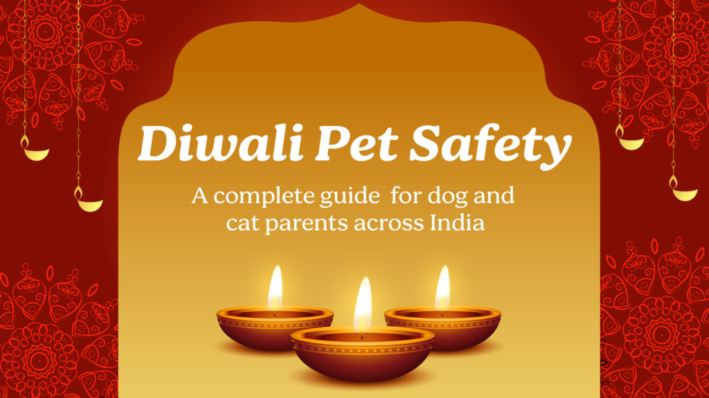 Diwali pet safety tips for cats and dogs pet parents in India