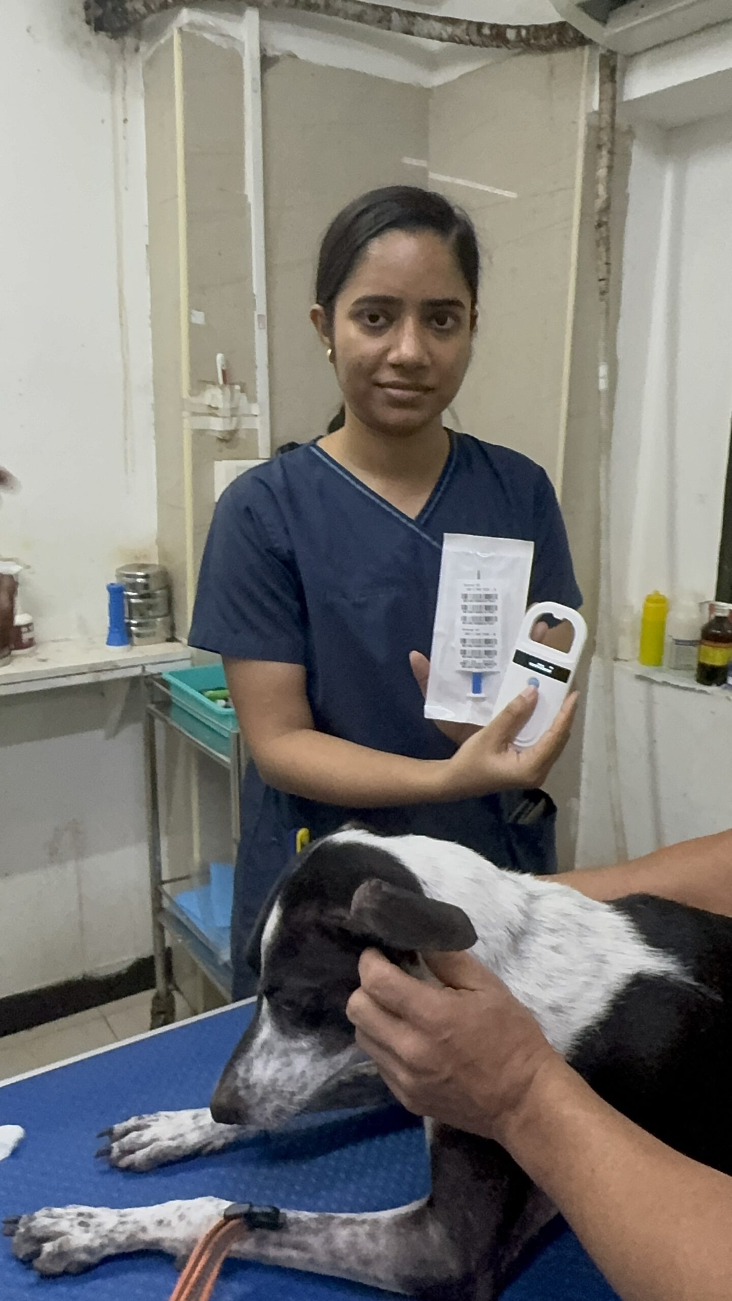 Microchipping
