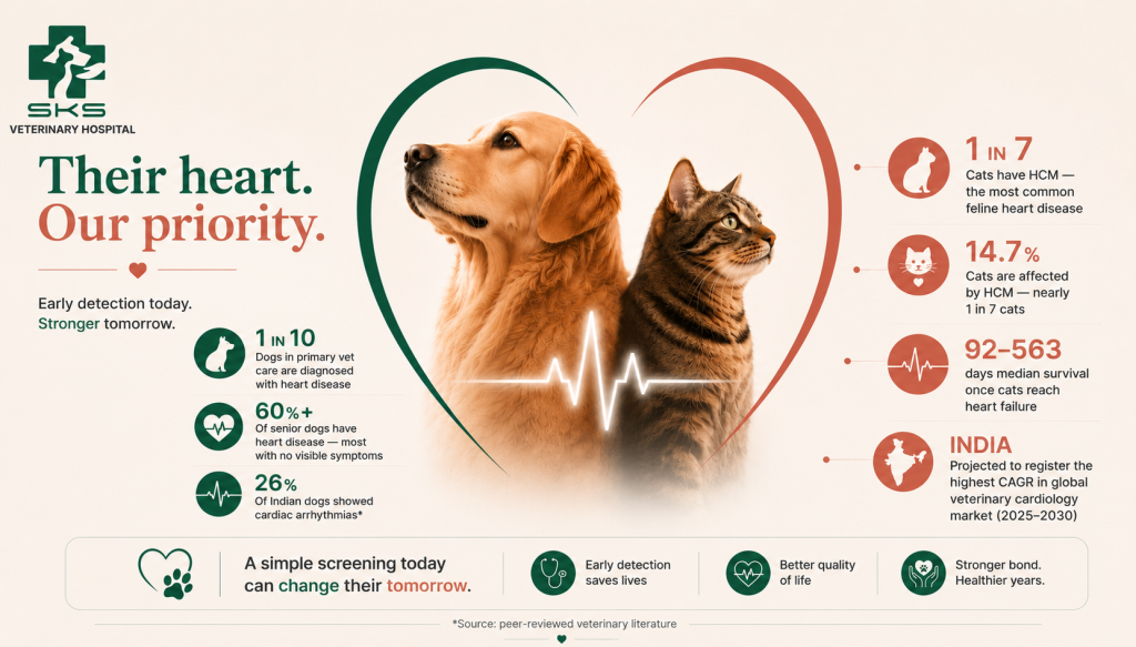 SKS Heart Pawject - Pet Heart Screening