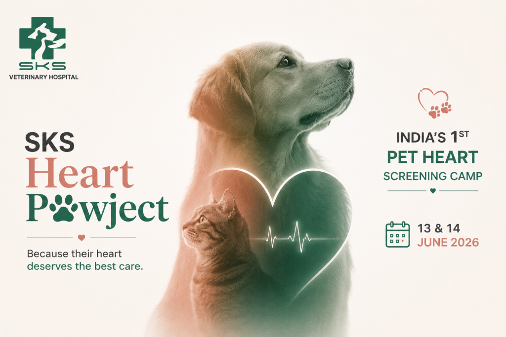 SKS Heart Pawject - Pet Heart Screening